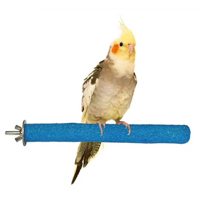 2gab/Set Putnu Asari Stāvēt Rotaļlietas Koka Papagailis Būrī Stāvēt Platforma Ķepu Slīpēšanas Stick PXPC