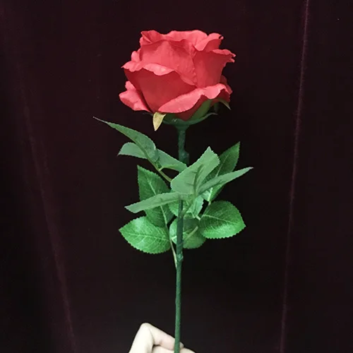 Apgaismojums Rožu Tālvadības Pults / Slēdzis (1 Ziedi) - Burvju Triks,Ziedu Maģija,Close Up Magic,Skatuves,Burvju Mīļāko,Romantisks,Aksesuāri