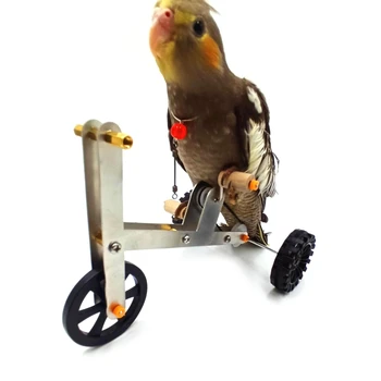 Smieklīgi Papagailis Mini Metāla Velosipēds Rotaļlietas Putnu Mācību Plaything Parakeet Cockatiel Conure Izglītības Interaktīvās Dekorācijas