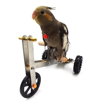 Smieklīgi Papagailis Mini Metāla Velosipēds Rotaļlietas Putnu Mācību Plaything Parakeet Cockatiel Conure Izglītības Interaktīvās Dekorācijas