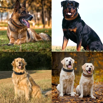 Mīksts Īstas Ādas Pet Suns Apkakles Liels Suns Apkakles, Ar Regulējamu Vidēji Lieli Suņi Pitbull Labradora Rotveilers