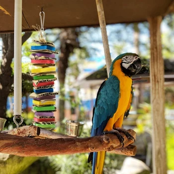 Košļājamā Putnu, Papagailis Rotaļlietas Daudzkrāsains Koka Bloki Atbrīvots Nesa, Putnu Būris, Košļājamās Rotaļlietas Karājas par Cockatiel