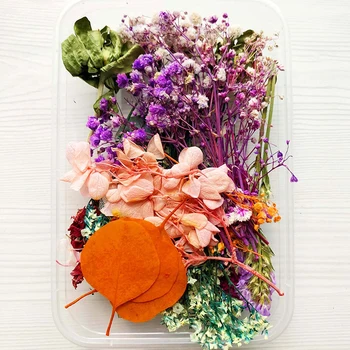 Kaltēti Ziedi Iepakojums Jaukti Mūžīgo Ziedi un Zaļumi par DIY Aromterapijas Sveces, Apsveikuma kartiņu, Epoksīda Amatniecības Dekoru PAK