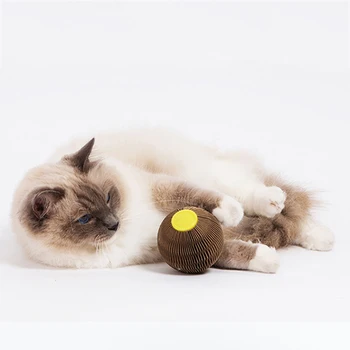 Jaunākās Kaķis Rotaļlietas Interaktīvas Bumbu Kaķis Nulles Valde Ar Catnip Kaķi Scratcher Katten Smieklīgi Rotaļlietas Pet Spēlē Piegādes Kaķis