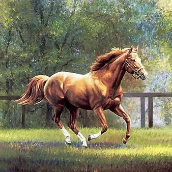 Rokdarbi DIY 5D Dimanta Glezna Krustdūrienā Pilna Dimanta Izšuvumi Dzīvnieku zirgu Modelis Rhinestone Ielīmēts Krāsošana