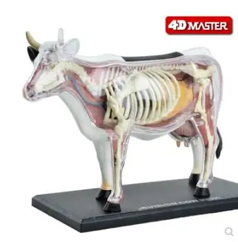 4D Master govs anatomija modeli, dzīvnieku orgānu, kaulu un iekšējo orgānu grupa demontāžu mācību modelis