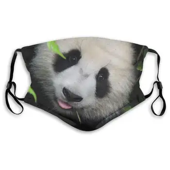 Cute Dzīvnieku Giant Panda Atkārtoti Sejas Maska Pm2.5 Filtra Bērnu, Pieaugušo Aizsardzības Masku Modes Maska Mazgājams