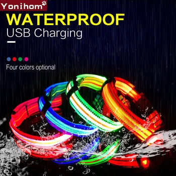 LED kaklasiksna USB Lādējamu kaklasiksna Elektronisko Ūdensizturīgs Nakts Drošību Apkakles Perro led Kvēlojošs Gaismas Apmales Mājdzīvniekiem