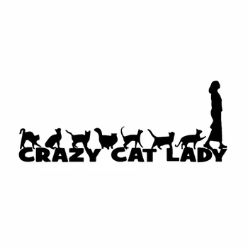 Smieklīgi Crazy Cat Dāma Tiesības Saskaras ar Cute Auto Uzlīme Logā Automobiļi, Motocikli Ārējie Piederumi, Vinila Decals,19cm*7,6 cm