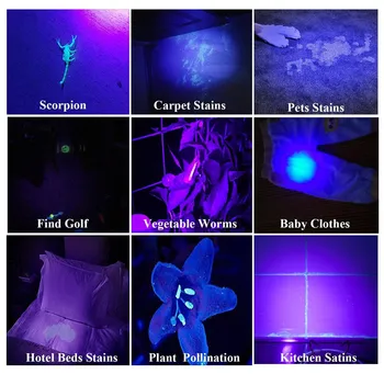 Melnā Gaisma UV Lukturīti, Super Spilgti 100 LED UV Lāpu, kurai ir Ultravioletais Detektors Lukturīti par Suņa Urīnu,Pet Traipu un Gulta Kļūdu