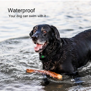 Bezvadu Elektronisko Suns Žogu Sistēma Ūdensizturīgs Suņu Apmācību Apkakles Skaņas Šoks Vibrācijas Apmācību un Žogu Funkcija