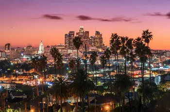 Holivudas saulrieta Los Angeles downtown skyline palmu koki fotogrāfijas fons Vinila audums Datora drukāt sienas fona