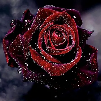 LaoJieYuan romantisks rožu Rhinestone cross stitch kārta sveķu laukumā mozaīkas izšuvumi mājas dekoru bez rāmja