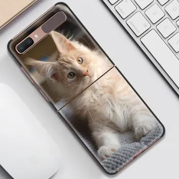 Cute Dzīvnieku Kaķis Jauki Luksusa Telefonu Gadījumā Samsung Galaxy Z Flip 5G Flod Cietās Plastmasas Melnā Coque Fundas Shell Šūnu Sadalīšana